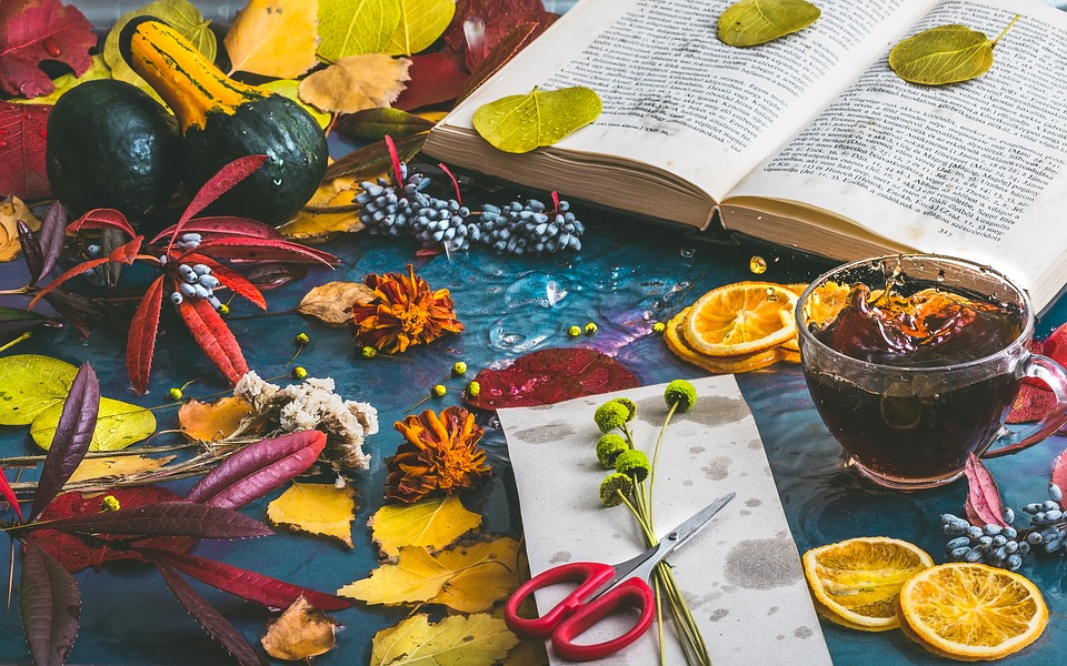 livre_et_feuilles_d'automne_2.jpg livre_et_feuilles_d'automne_2.jpg